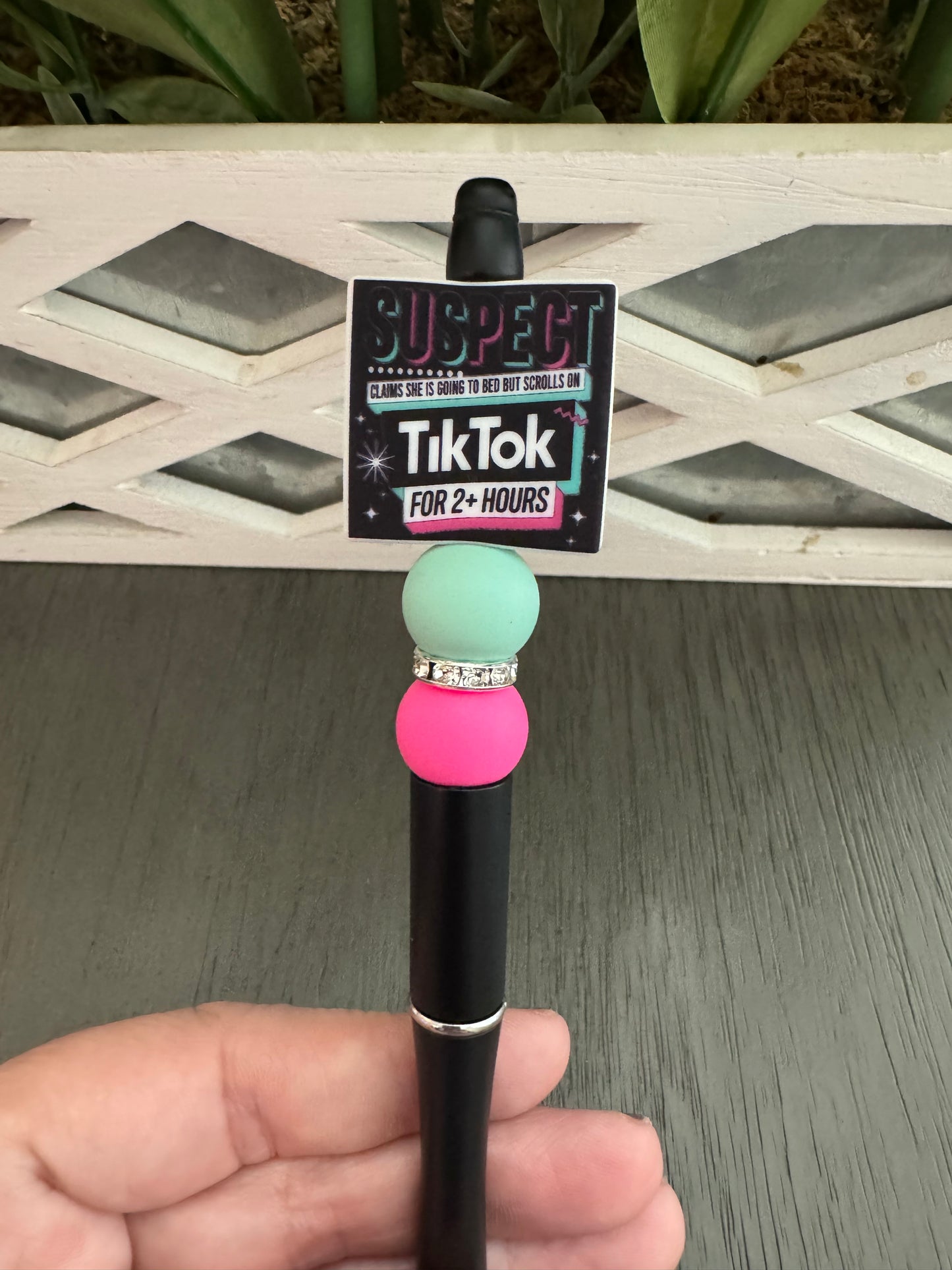 TikTok Suspect