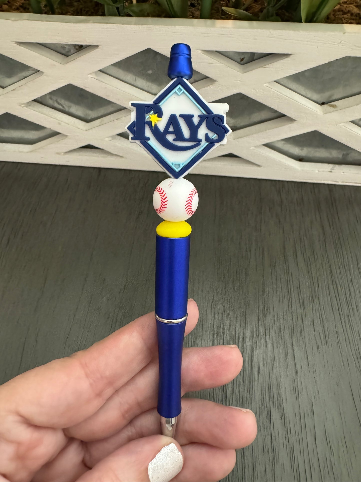 Tampa Bay Rays